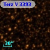 Terz V 3393