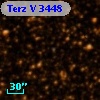 Terz V 3448