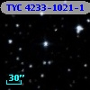 TYC 4233-1021-1