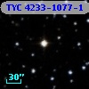 TYC 4233-1077-1