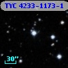 TYC 4233-1173-1