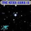 TYC 4233-1181-1