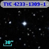 TYC 4233-1309-1