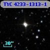 TYC 4233-1313-1