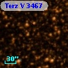 Terz V 3467