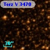 Terz V 3470