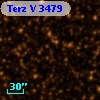 Terz V 3479