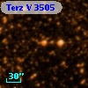 Terz V 3505