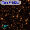Terz V 3531