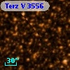 Terz V 3556