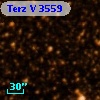 Terz V 3559