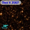 Terz V 3567
