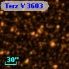 Terz V 3603