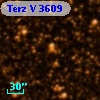 Terz V 3609
