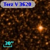 Terz V 3620