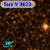 Terz V 3623