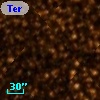 Terz V 3680