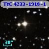 TYC 4233-1918-1
