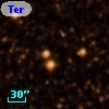 Terz V 3906