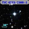 TYC 4233-2300-1