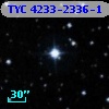 TYC 4233-2336-1