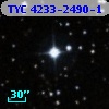TYC 4233-2490-1