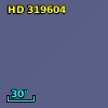 HD 319604