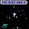 TYC 4237-444-1