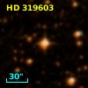 HD 319603