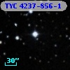 TYC 4237-856-1