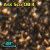 Ass Sco OB   4-
