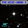 TYC 4237-1080-1