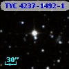 TYC 4237-1492-1