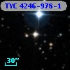 TYC 4246-978-1