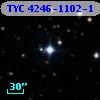TYC 4246-1102-1