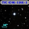 TYC 4246-1166-1
