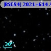[BSC84] 2021+614 A