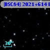 [BSC84] 2021+614 E