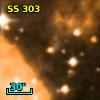 SS 303