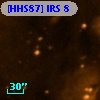 [HHS87] IRS  8