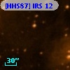 [HHS87] IRS 12
