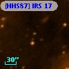 [HHS87] IRS 17