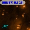 [HHS87] IRS 23