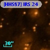 [HHS87] IRS 24