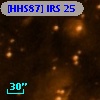 [HHS87] IRS 25