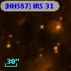 [HHS87] IRS 31