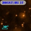 [HHS87] IRS 37