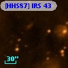 [HHS87] IRS 43