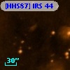 [HHS87] IRS 44