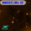 [HHS87] IRS 47